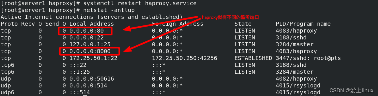 haproxy 不存在页面 haproxy check_负载均衡_15