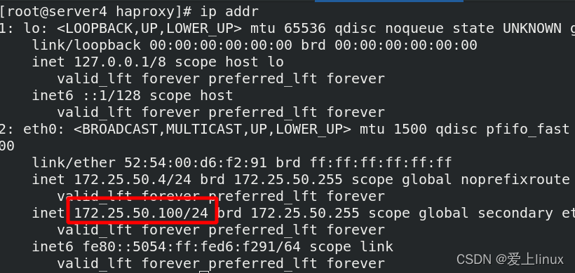 haproxy 不存在页面 haproxy check_负载均衡_42