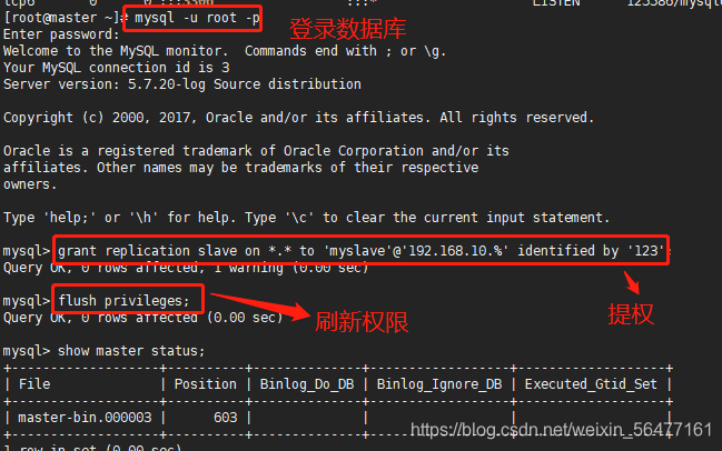 db2 主从复制 sql主从复制_mysql_09