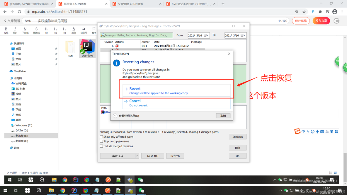 SVN update choose items保存上次的设置 svn如何update_java_05