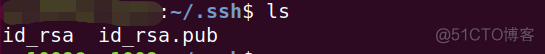 配置ssh 公钥 ssh 添加公钥_配置ssh 公钥_04