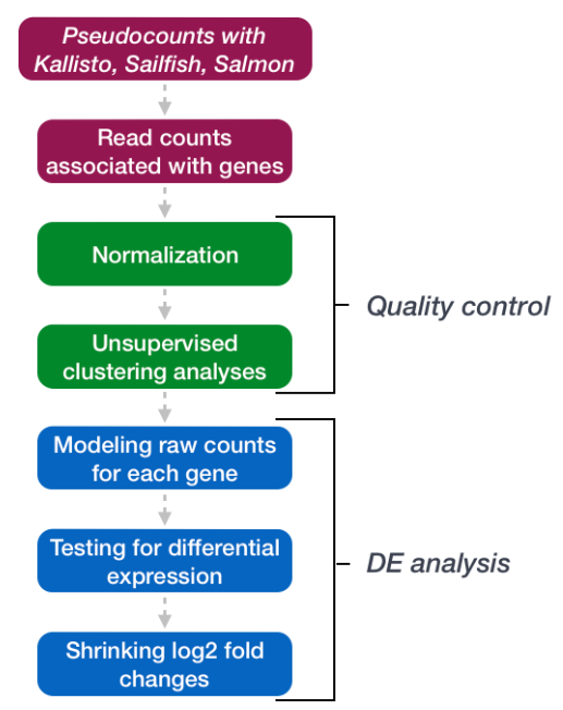 rnaSPAdes教程 rna seq实验,rnaSPAdes教程 rna seq实验_加载,第1张