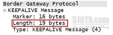 bgp keepalive 默认报文间隔 bgp协议keepalive报文_网络_07