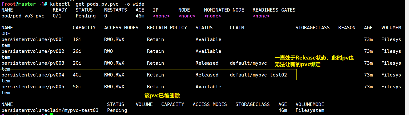 k8s StatefulSet 使用 pvc k8s查看pvc_开发语言_19