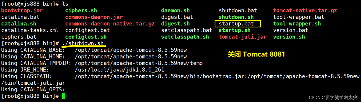 负载均衡配置ensp 负载均衡配置项设计_nginx_24