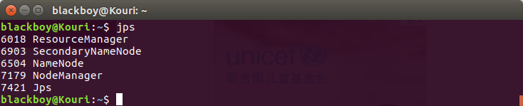 ubuntu hadoop集群 时间服务器配置 ubuntu中hadoop配置环境变量_hadoop_08