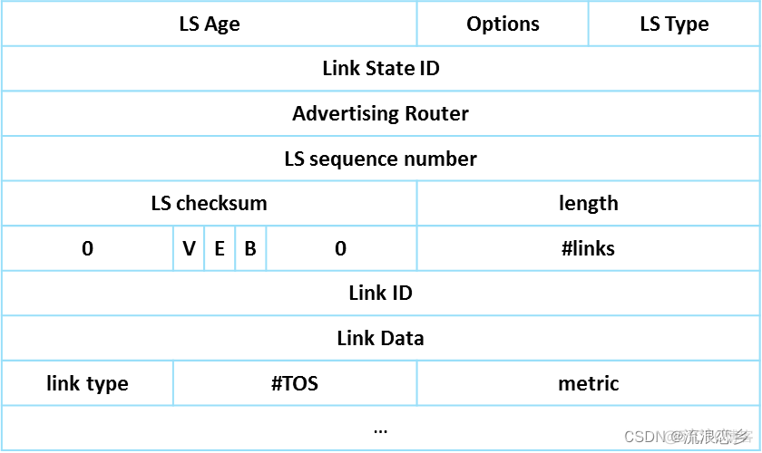 ospf路由协议配置实验报告 ospf协议分析实验报告_p2p_04