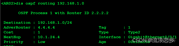 ospf路由协议配置实验报告 ospf协议分析实验报告_OSPF_29