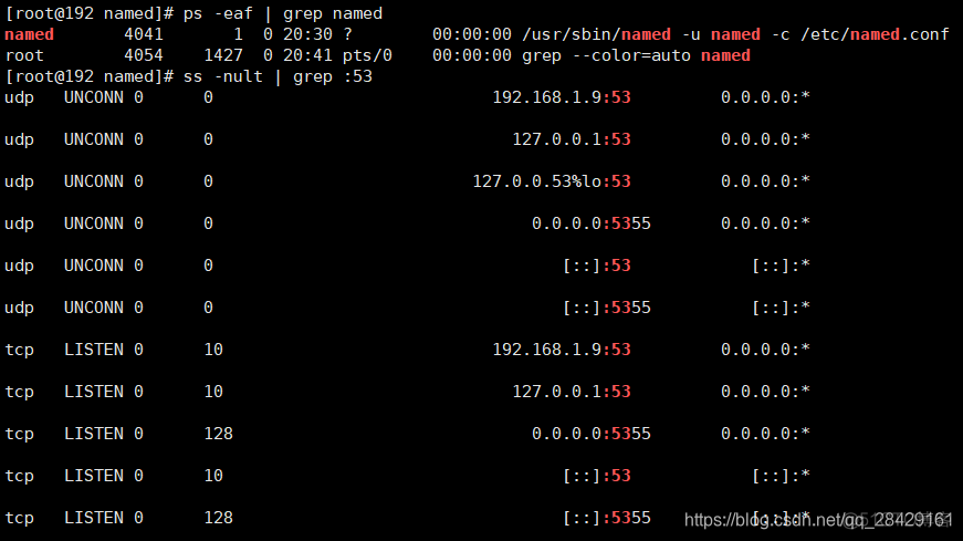 centos8设置dns地址 centos8搭建dns_TCP