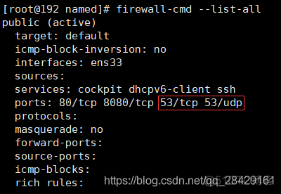 centos8设置dns地址 centos8搭建dns_UDP_02