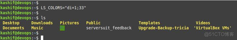 centos ls 文件颜色 linux ls命令颜色_ls命令_06