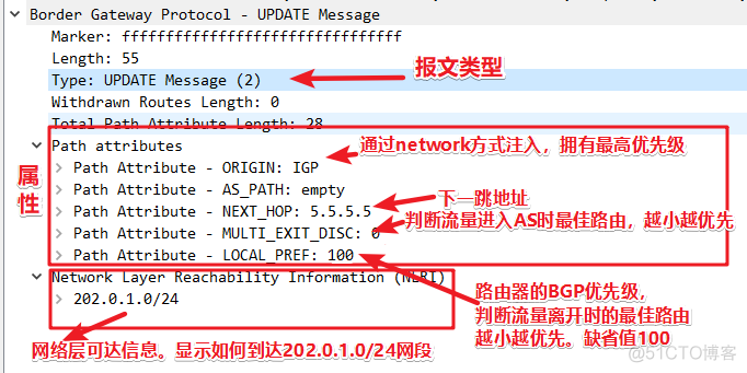 BR动态BGP bgp是动态路由协议吗_路由协议_02