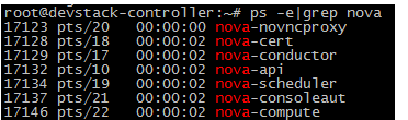 openstack搭建nova提示public endpoint for compute service not found openstack中nova作用_mysql_45