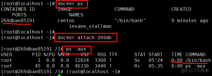 容器root用户密码是什么 登录容器命令_centos_53