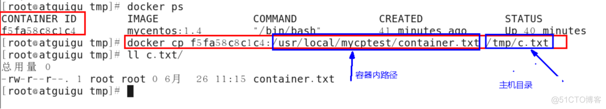 容器root用户密码是什么 登录容器命令_nginx_57