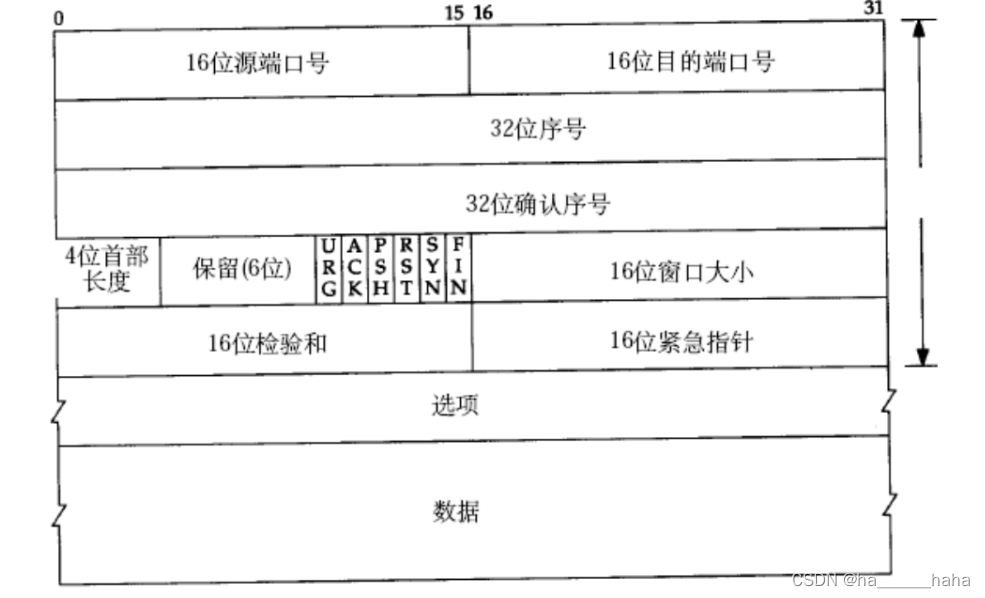 Java网络启动协议文件 java 网络_网络协议_08