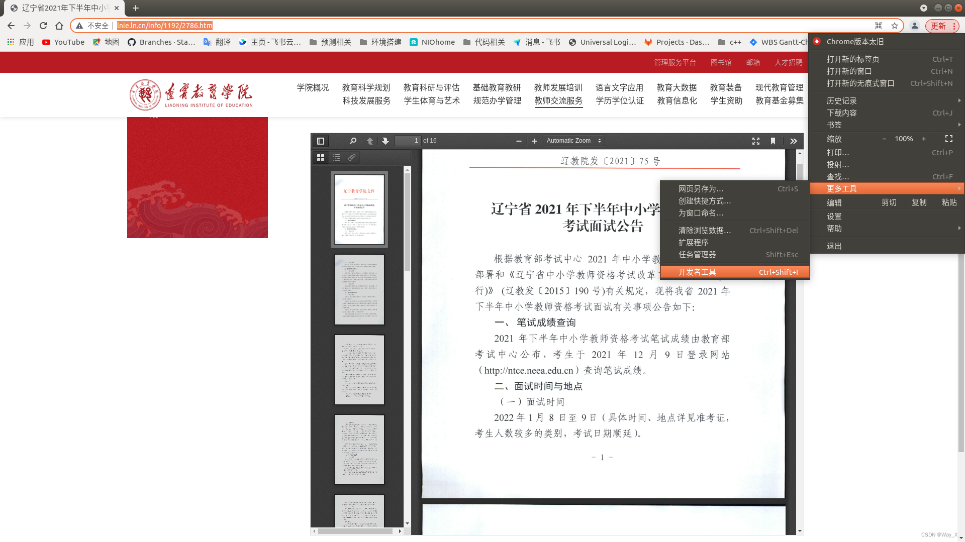 [奇怪的小知识]：从网页上下载内嵌的PDF、PPT文件（以Google浏览器为例）_谷歌浏览器_02