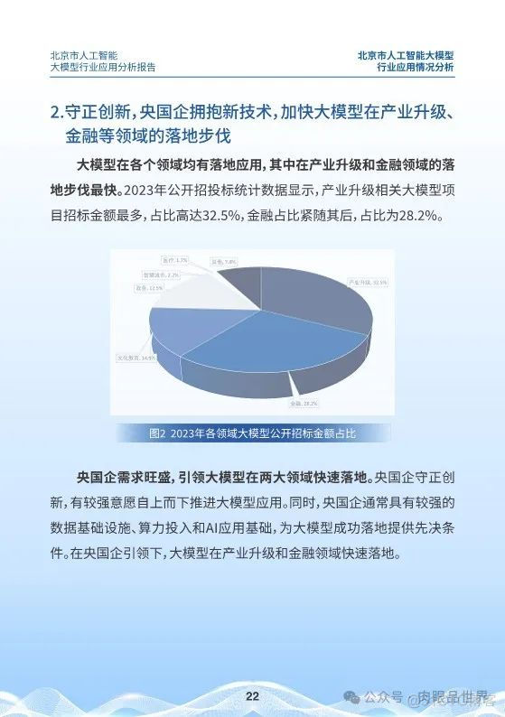 北京市人工智能大模型行业应用分析报告(附下载)_解决方案_22