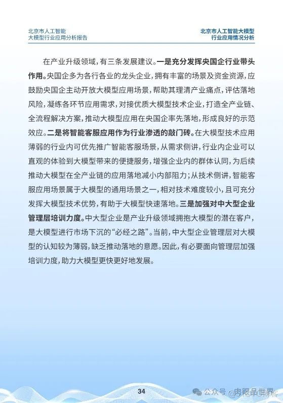 北京市人工智能大模型行业应用分析报告(附下载)_大数据_34