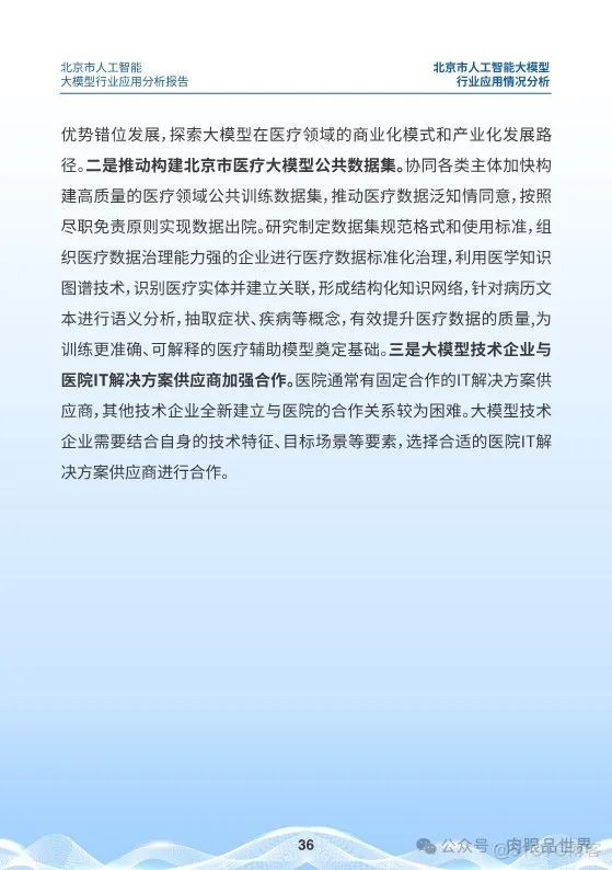 北京市人工智能大模型行业应用分析报告(附下载)_大数据_36