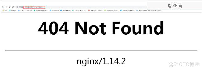 两个nginx 两个nginx会冲突吗_运维_02