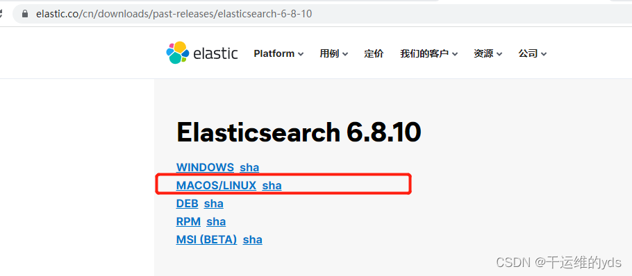 linux es 安装 linux搭建es_elastic