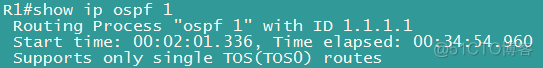 ospf的rout id作用 ospf 1 router-id_网络_02