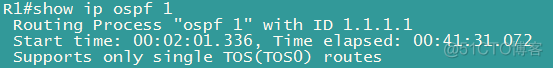 ospf的rout id作用 ospf 1 router-id_OSPF_04