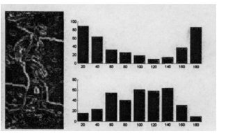 方向梯度直方图（HOG,Histogram <wbr>of <wbr>Gradient）学习笔记二 <wbr>HOG正篇