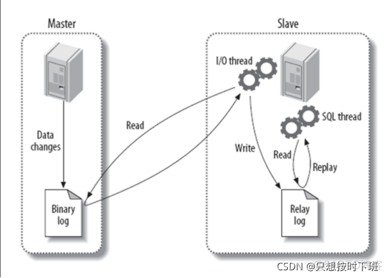 mysql 主从架构搭建 mysql主主架构原理_服务器