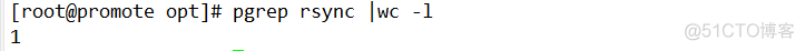 rsync不用手动输密码 rsync 密码自动输入_linux_09