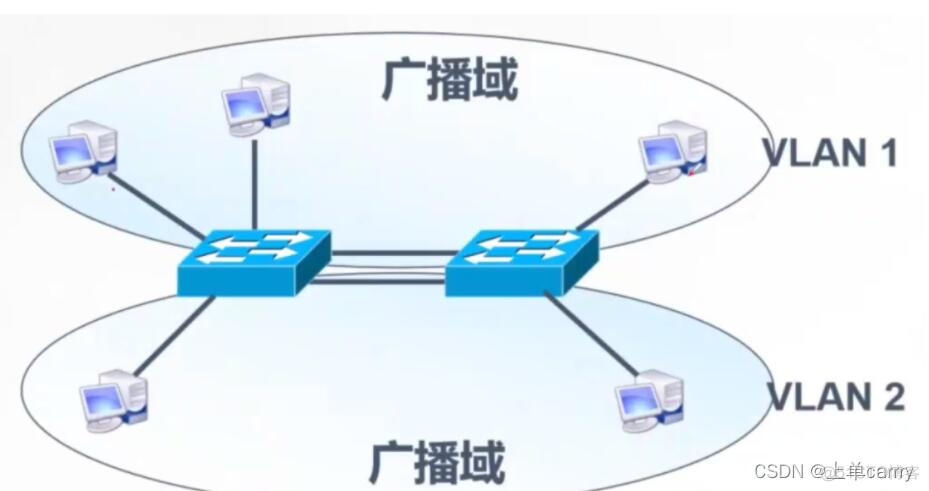 vlan custom是什么类型的帧 vlantrunk_网络协议