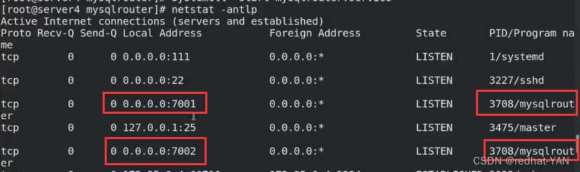 mysql 8 mgr多主搭建 mysql多主集群_sql_77