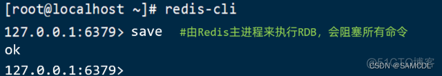 redis 的rds和rdb redis rdb原理_Redis_02