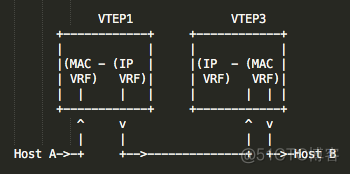 VXLAN中的IRB vxlan vpls_VXLAN中的IRB_06