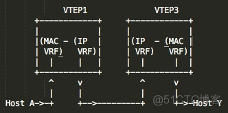 VXLAN中的IRB vxlan vpls_数据_09