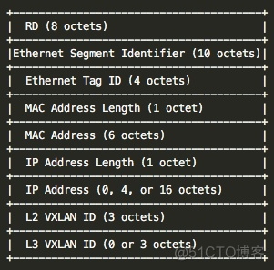 VXLAN中的IRB vxlan vpls_VXLAN中的IRB_10