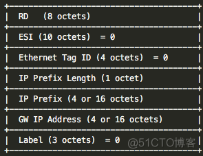 VXLAN中的IRB vxlan vpls_IP_12