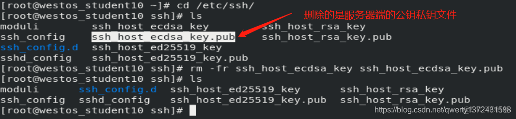 ssh远程启动redis ssh开启远程登录_运维_03