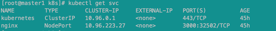 k8s svc 使用clusterIp clusterIp为none k8s查看svc_UDP_03