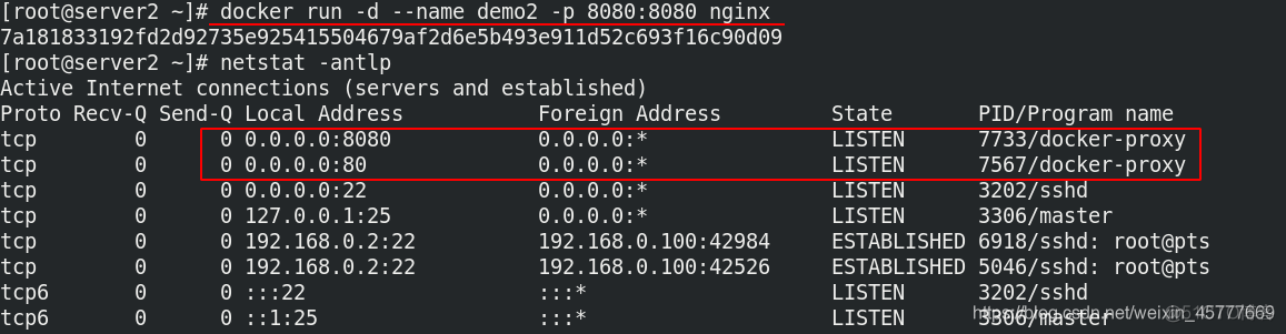 docker 使用本地网络模式 docker 本地网络插件_docker 使用本地网络模式_09