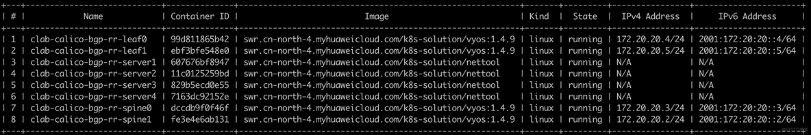 干货收藏！Calico的BGP RouteReflector策略实践_Calico_04