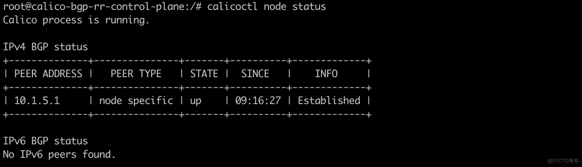 干货收藏！Calico的BGP RouteReflector策略实践_容器_07