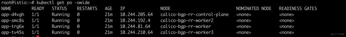 干货收藏！Calico的BGP RouteReflector策略实践_Calico BGP_08