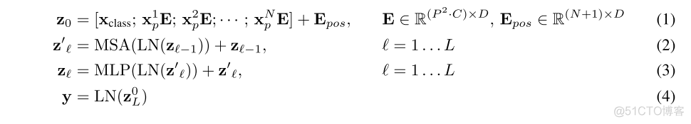 efficientNet进行图像分类 transformer 图像分类_计算机视觉_10