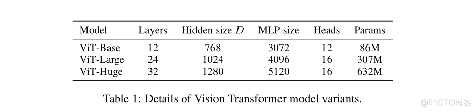 efficientNet进行图像分类 transformer 图像分类_CV_13