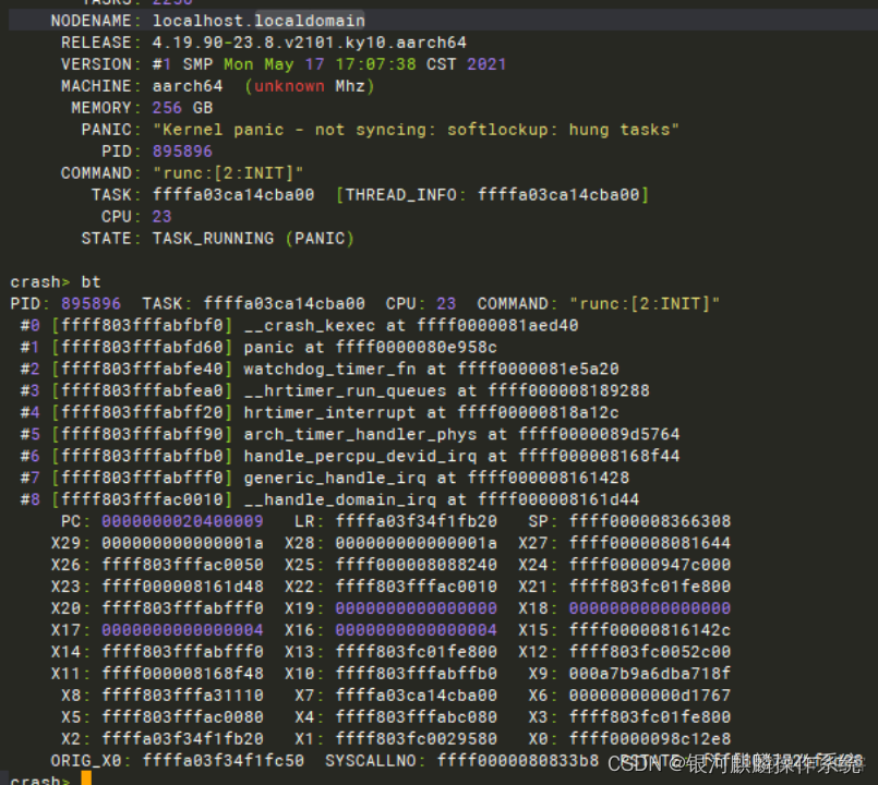 麒麟系统怎么查询cpu架构信息 麒麟查看cpu_linux_02