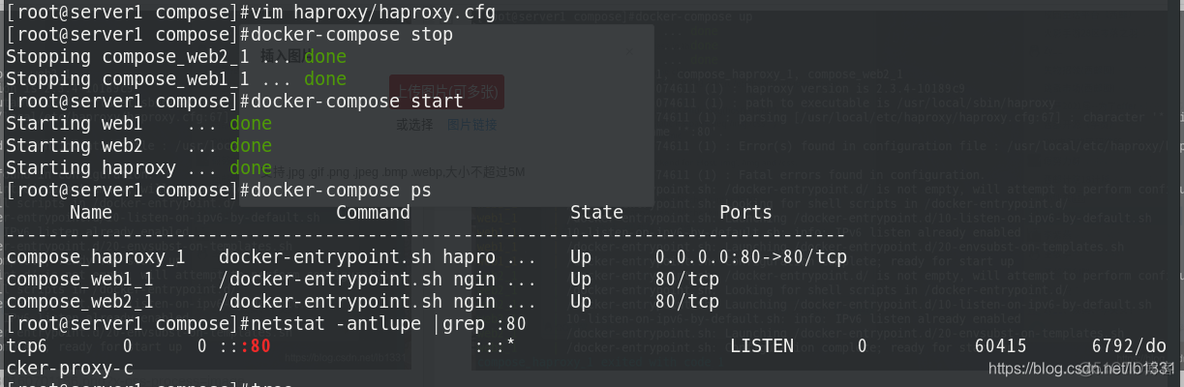 docker compose 限制磁盘空间 docker compose限制cpu_bash_15