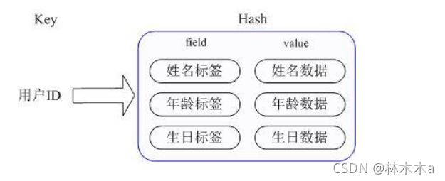 多个容器共用一个redis redis多个key对应一个value_多个容器共用一个redis_10