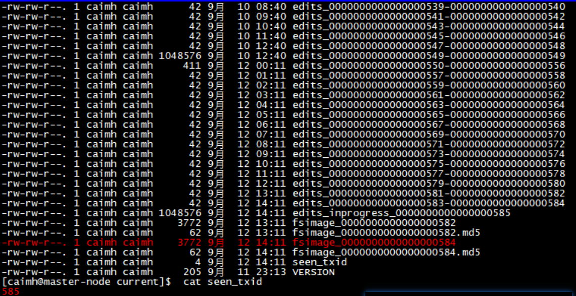 HDFS inode信息持久化 hdfs元数据持久化_hadoop_08